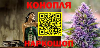 гашик Бузулук