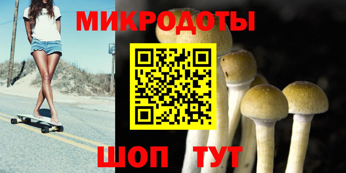 Псилоцибиновые грибы Magic Shrooms  Вход с VPN  Железногорск 